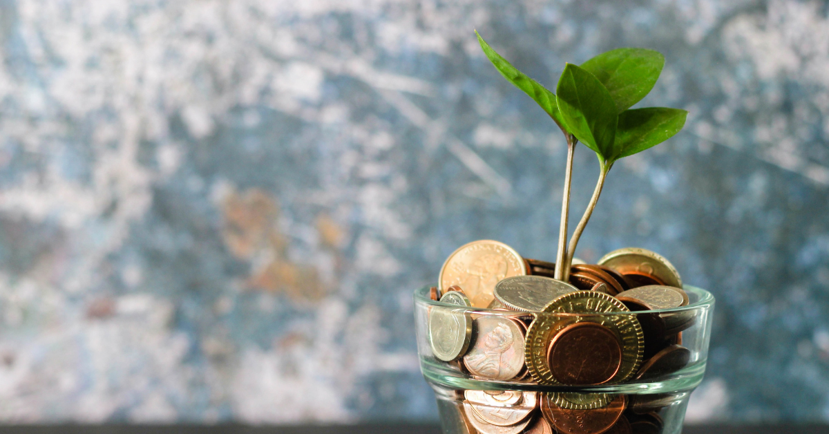 What is the cost of managing a translation project?